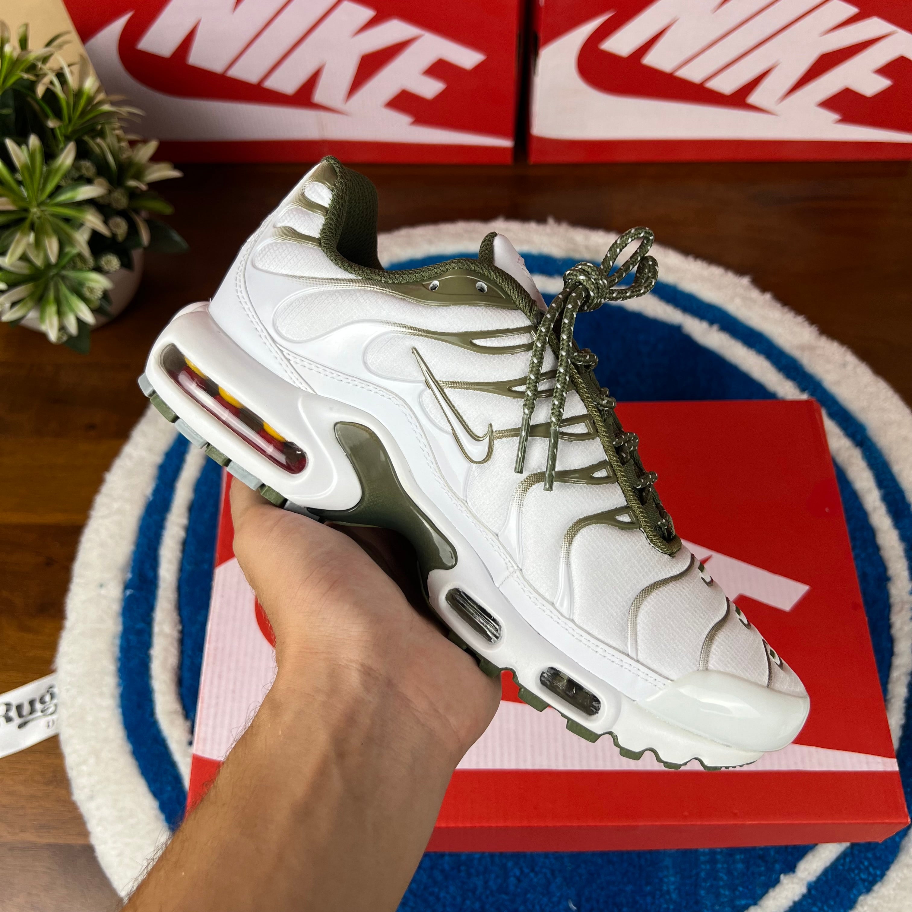Tn Olive