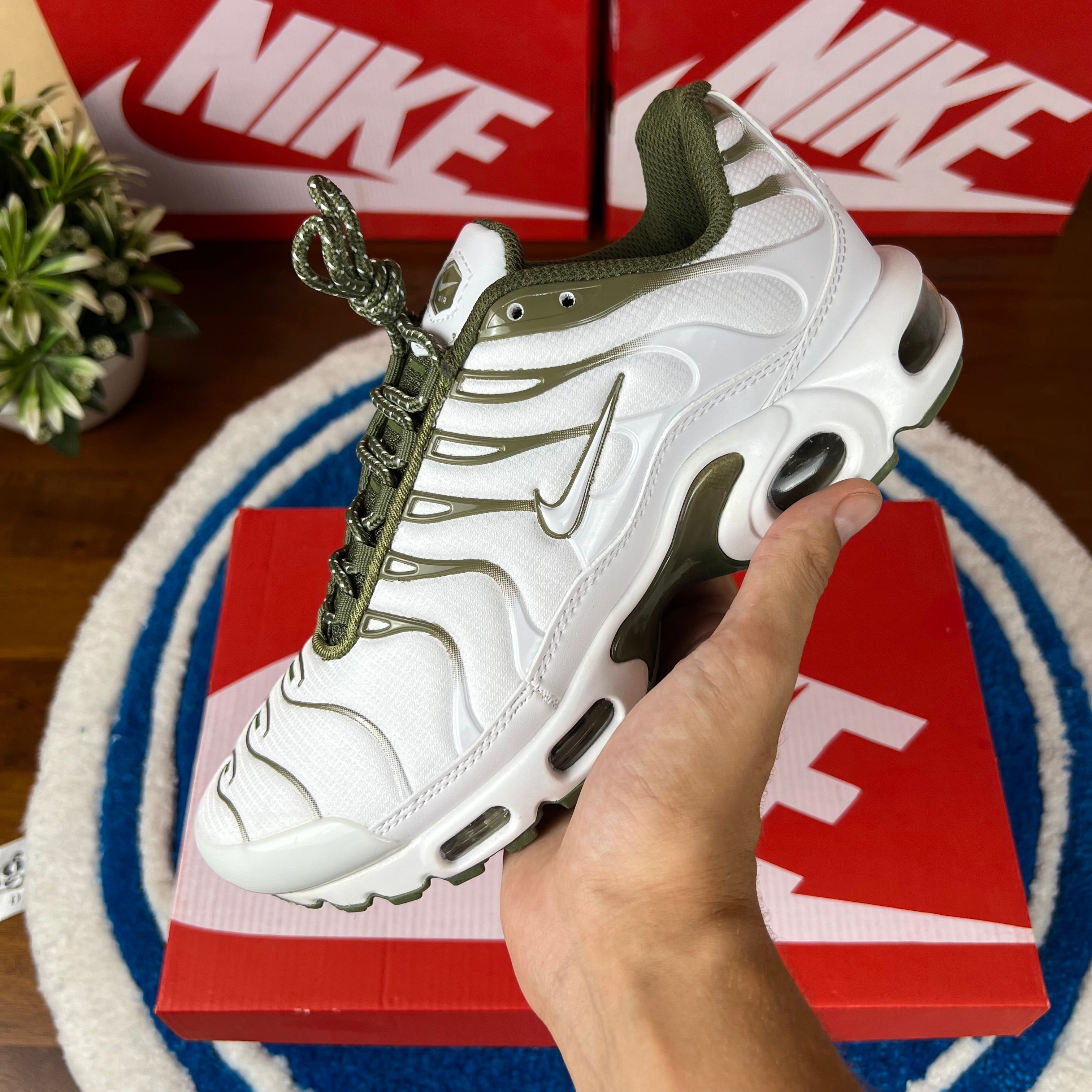 Tn Olive
