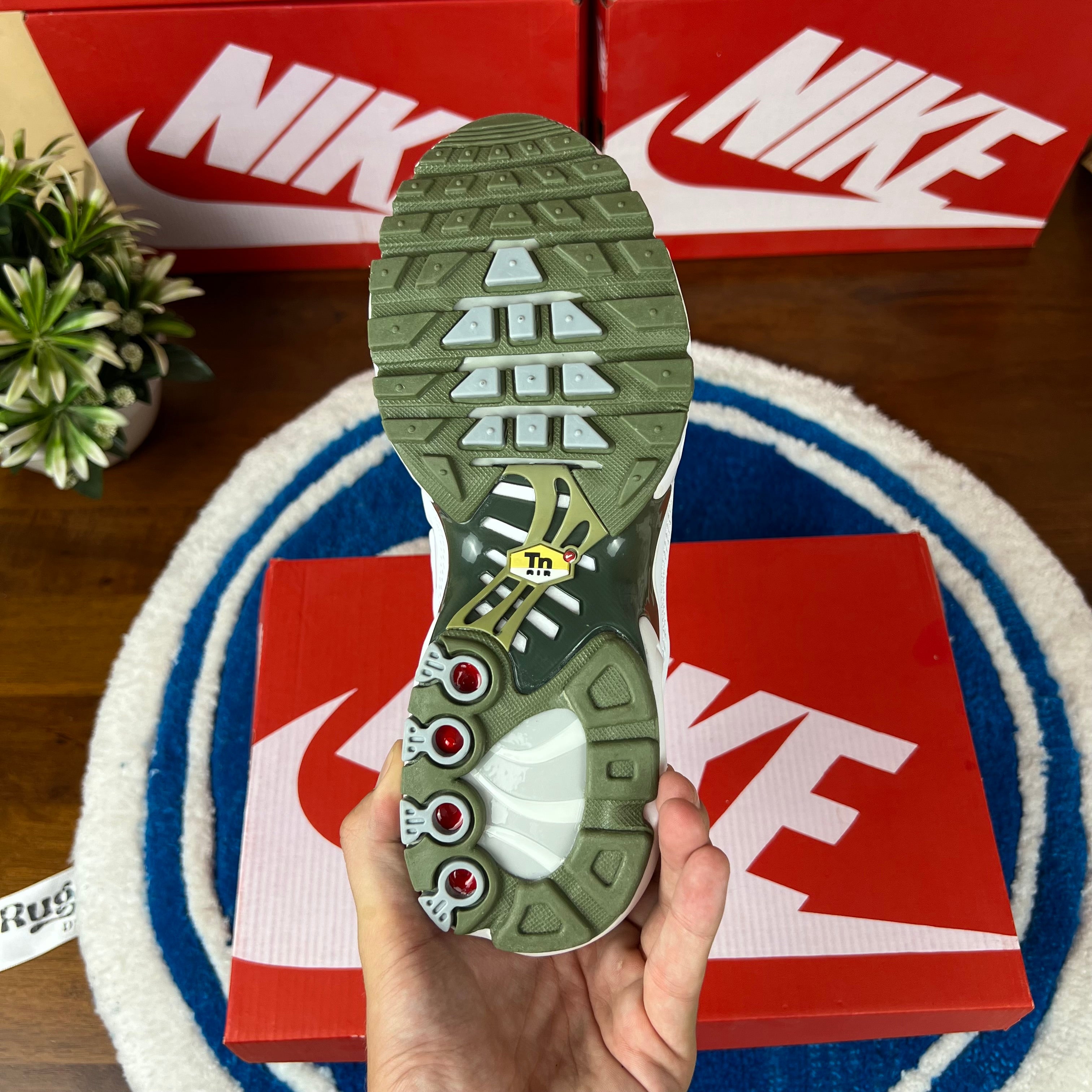 Tn Olive